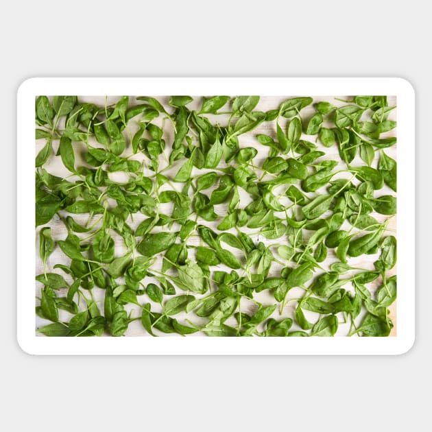 Fresh baby spinach Sticker by naturalis